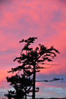 Oak Bay Sunset